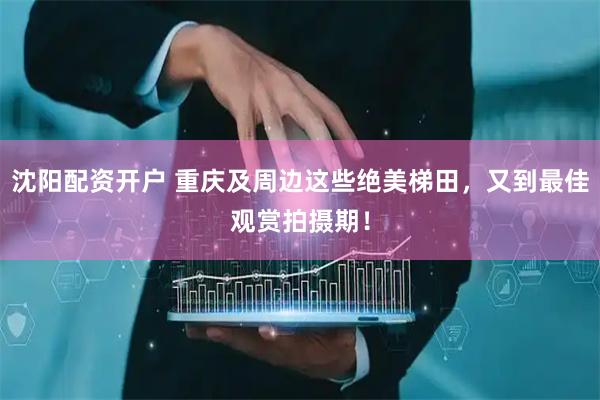 沈阳配资开户 重庆及周边这些绝美梯田，又到最佳观赏拍摄期！