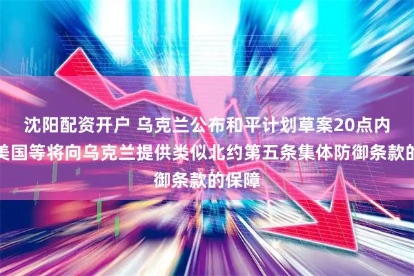 沈阳配资开户 乌克兰公布和平计划草案20点内容：美国等将向乌克兰提供类似北约第五条集体防御条款的保障