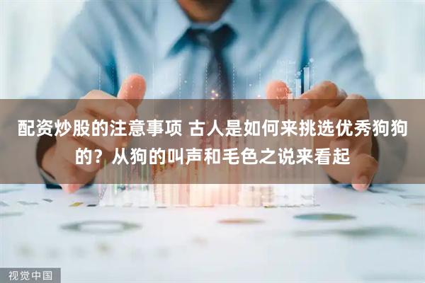 配资炒股的注意事项 古人是如何来挑选优秀狗狗的？从狗的叫声和毛色之说来看起